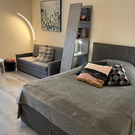 Alice Apartment Wackernheim Ingelheim am Rhein Eksteriør bilde