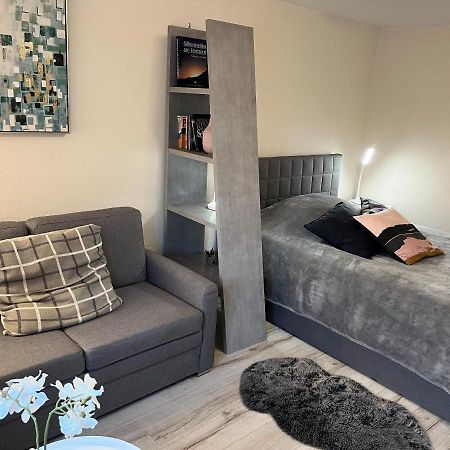 Alice Apartment Wackernheim Ingelheim am Rhein Eksteriør bilde