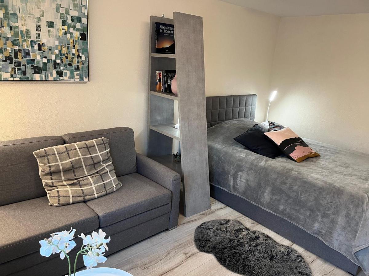 Alice Apartment Wackernheim Ingelheim am Rhein Eksteriør bilde