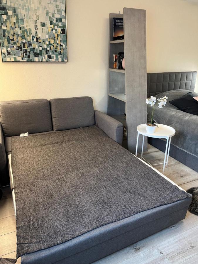 Alice Apartment Wackernheim Ingelheim am Rhein Eksteriør bilde